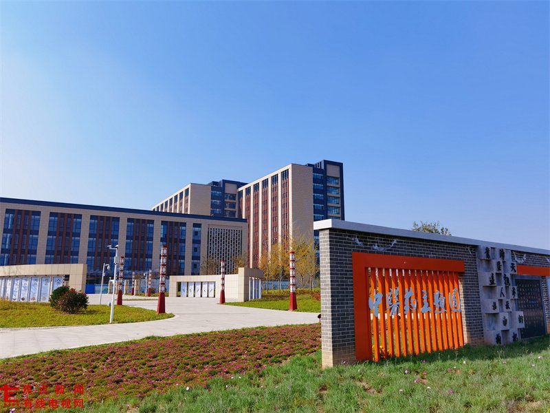 建设中医药文化主题公园,纳入健康城镇建设。