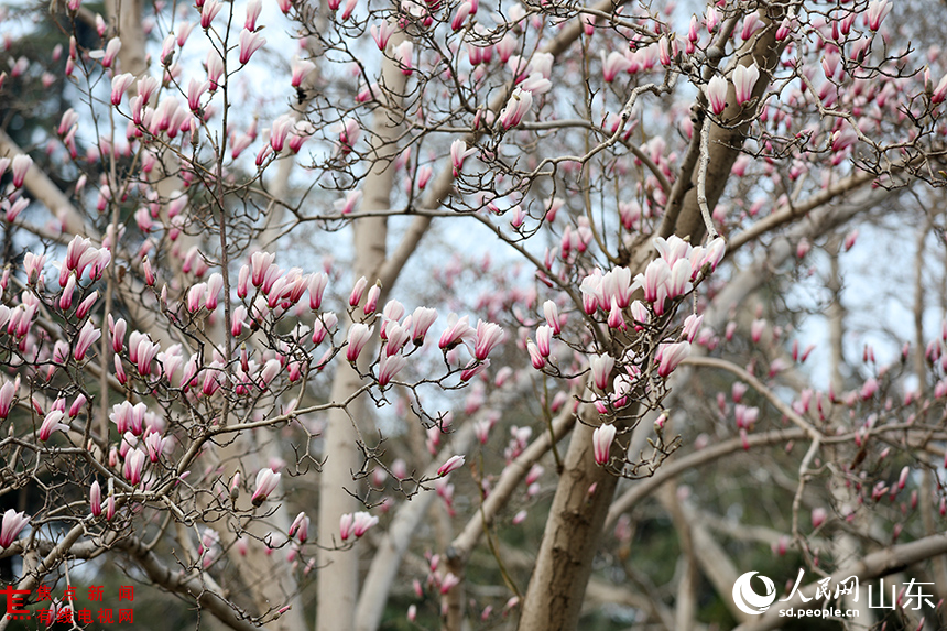 LOCAL1773362572084UYXHGP96R8.JPG LOCAL1773362572084UYXHGP96R8.JPG