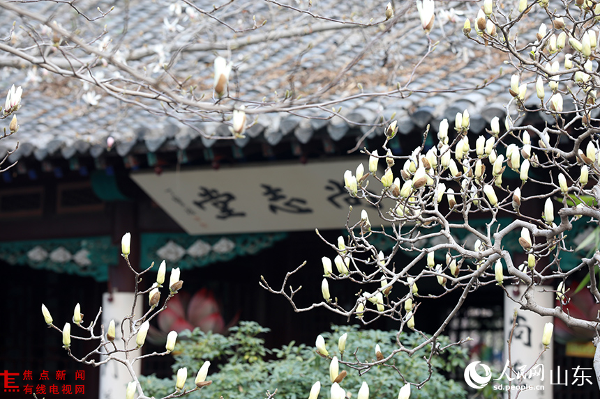 LOCAL1773362583594RPE9K4OJD9.JPG LOCAL1773362583594RPE9K4OJD9.JPG