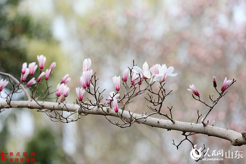 LOCAL1773362606199DXLMOHQMVF.JPG LOCAL1773362606199DXLMOHQMVF.JPG