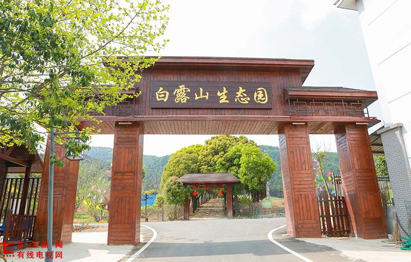 藏在曹山的蓝莓秘境与仙韵田园 ----白露山生态园简介