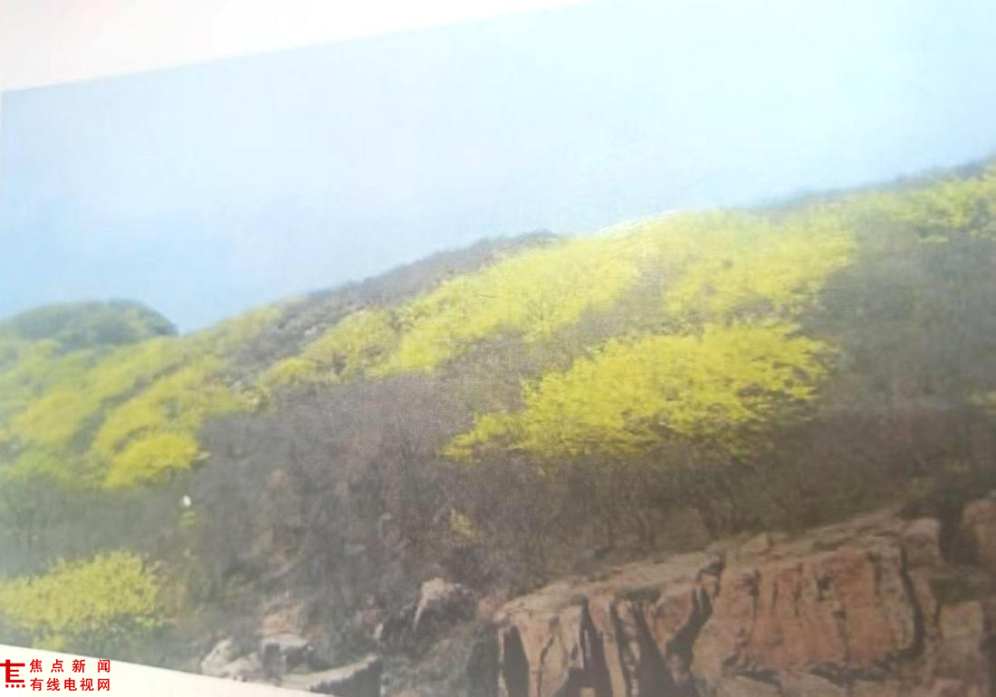 蚂蚁山的传说和蚂蚁节